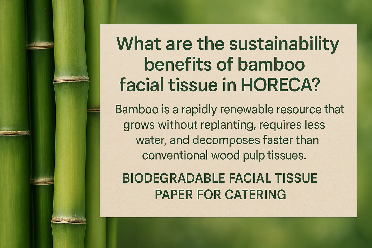 bamboo background with sustainability message about biodegradable [bamboo facial tissue](https://meserii.com/blogs/bamboo/tissues-benefits?srsltid=AfmBOophV5GitGWz6kudPV9PVumjDAYfhnTW8LRRxiJkOkDFnHfacdP2)[^2]